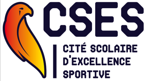 Logo CSES